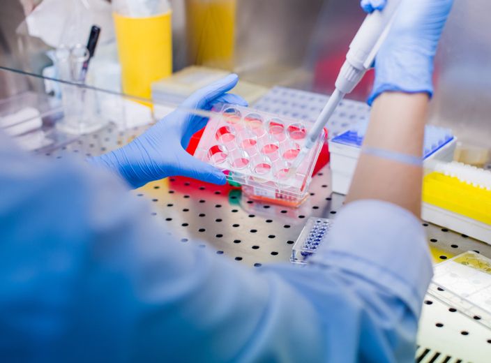 Research Courses