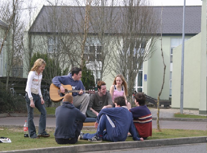 Undergraduate Students 