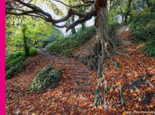 Centre for the Study of Religion