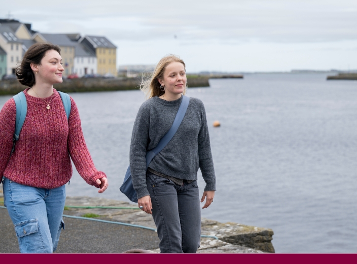 Cambridge A-Levels - Entry Requirements