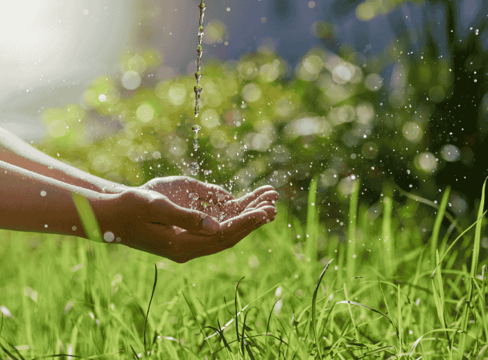 Wellbeing Supports