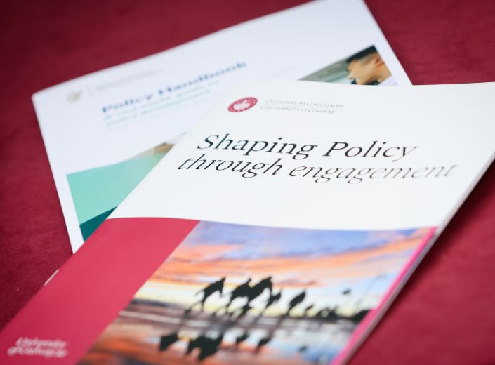 Policy Implementation for Impact