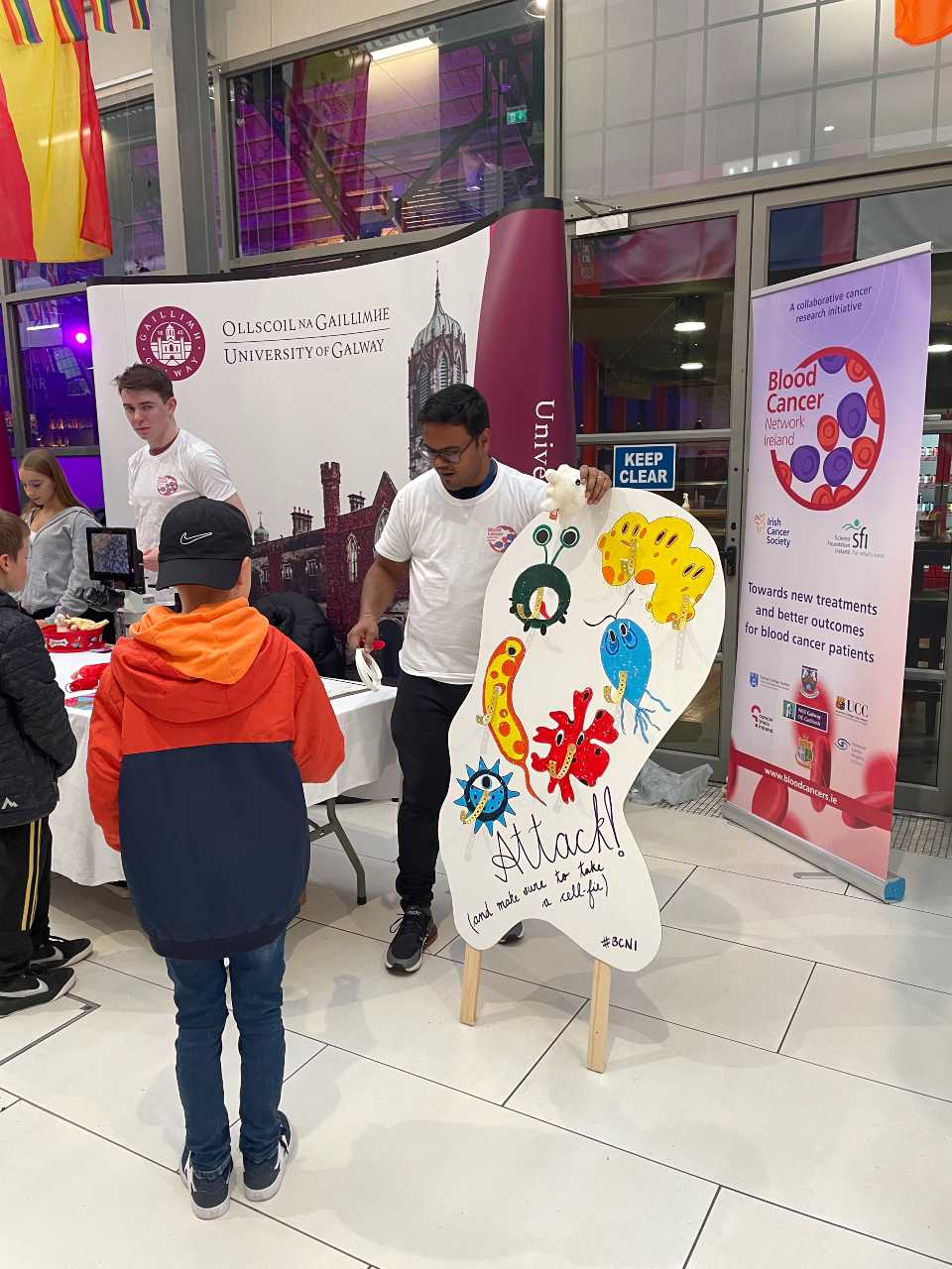 BCNI at the Galway Science and Technology Festival