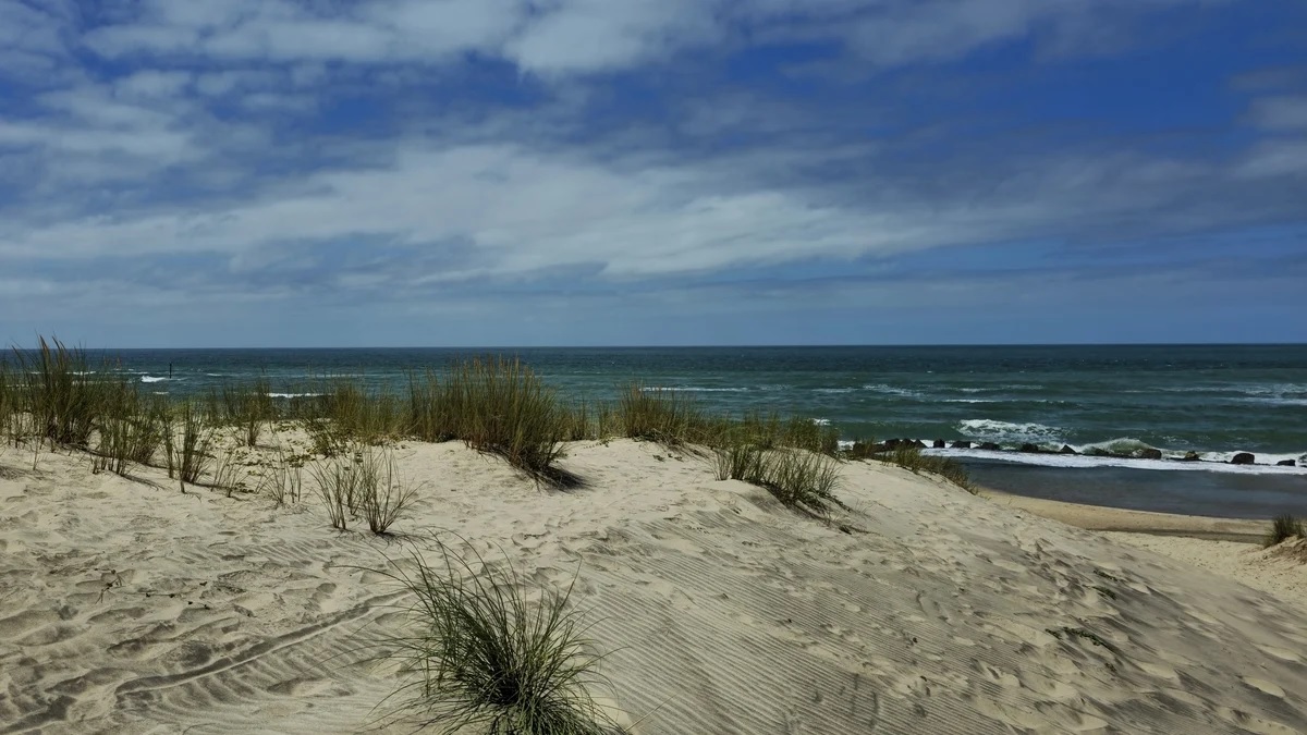 Protecting our sand dunes