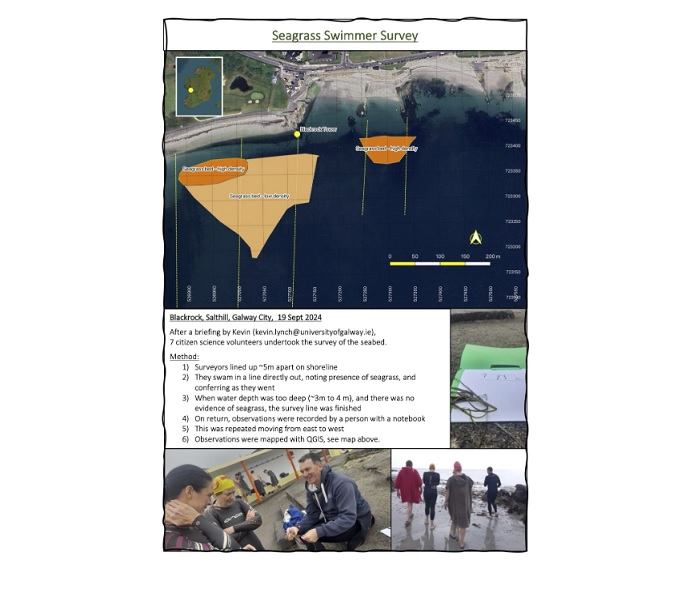 Seagrass Swimmer Survey