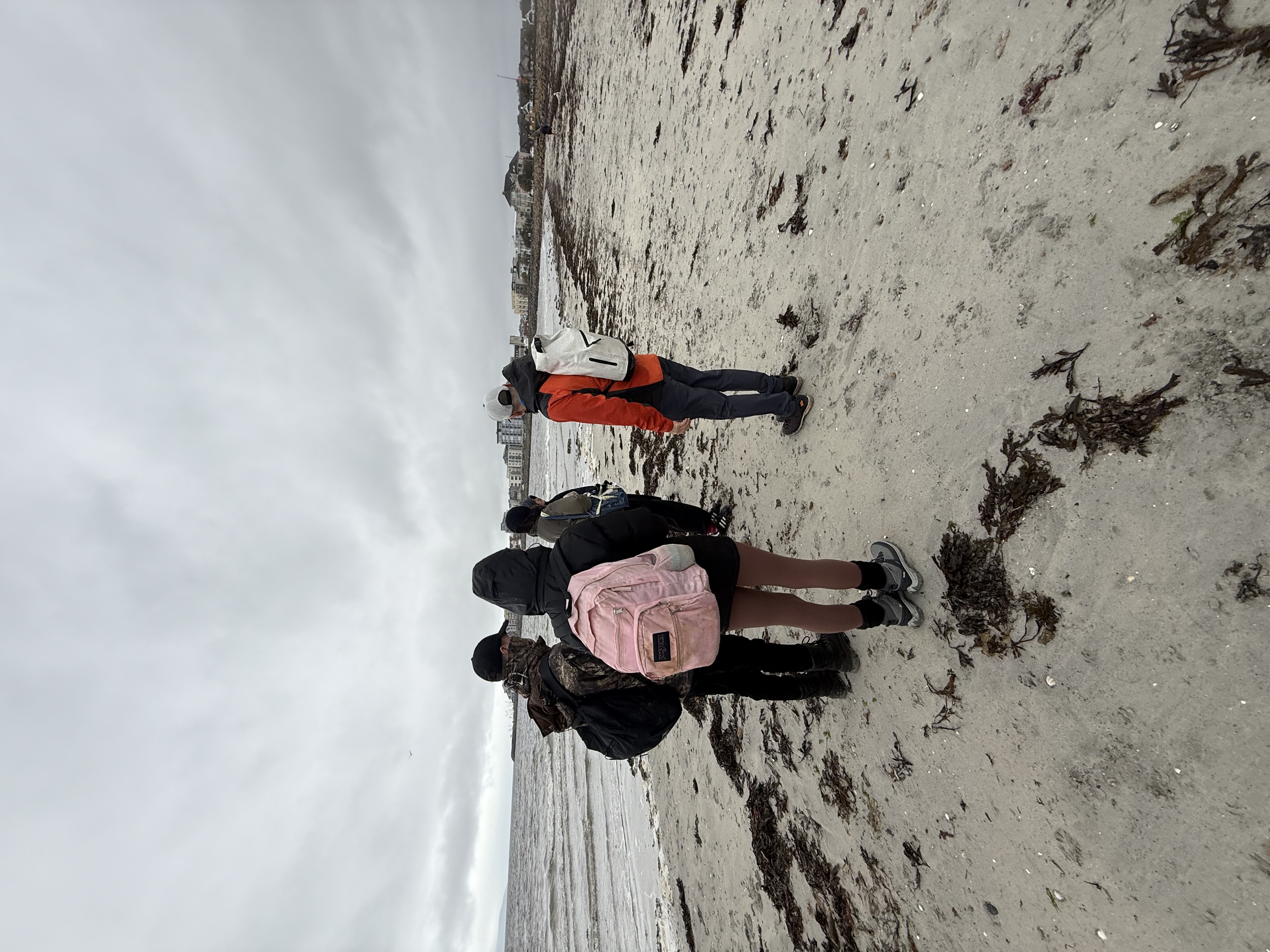 Fieldwork on Grattan Beach