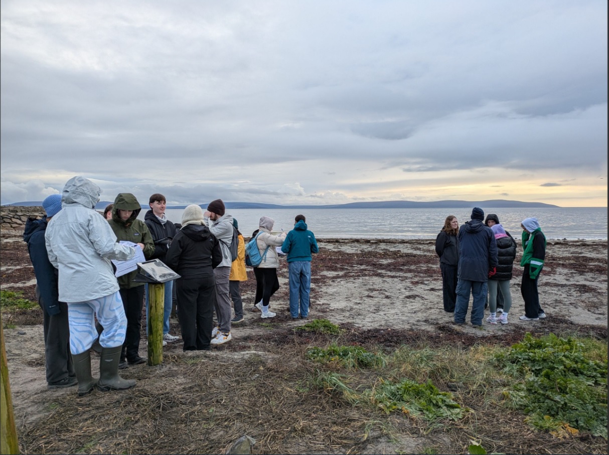 Field class on Grattan Beach
