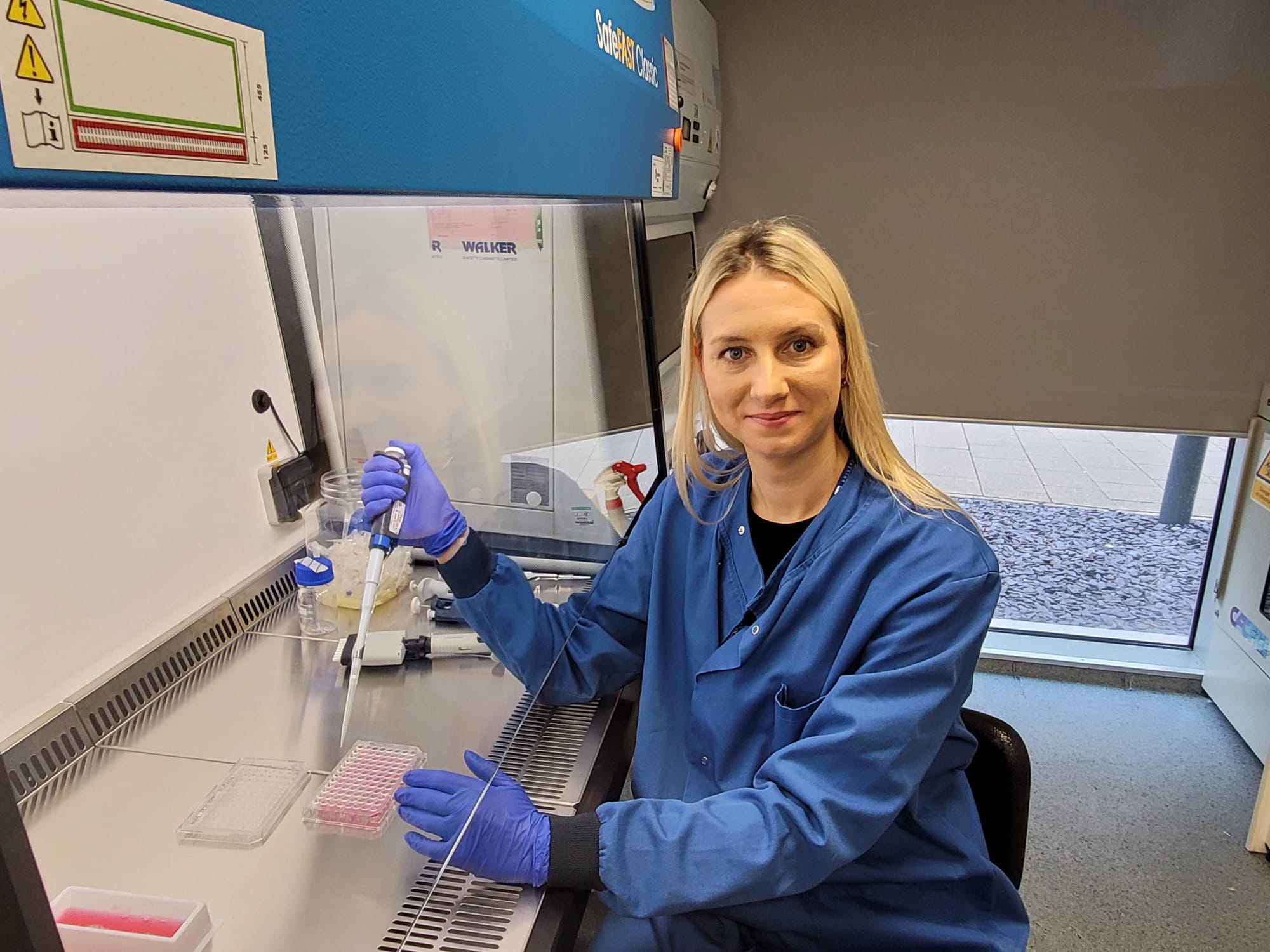 Aiste in cell culture