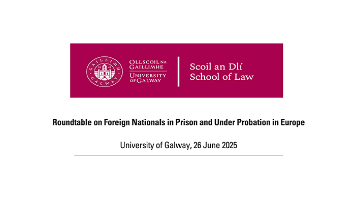 Dr. Mulgrew hosts Expert Roundtable - Foreign Nationals in Prison and Probation in Europe