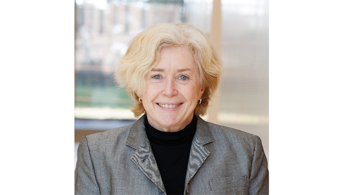 Gender and Human Rights Masterclass with Professor Terry McGovern