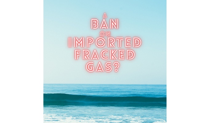 Image - 'A ban on fracked imported gas?'