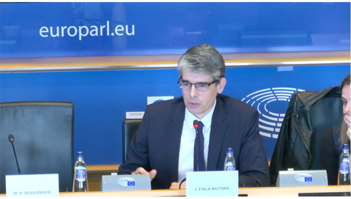 Dr. Fiala-Butora provides Expert Testimony at the EU Committee on Civil Liberties, Justice and Human