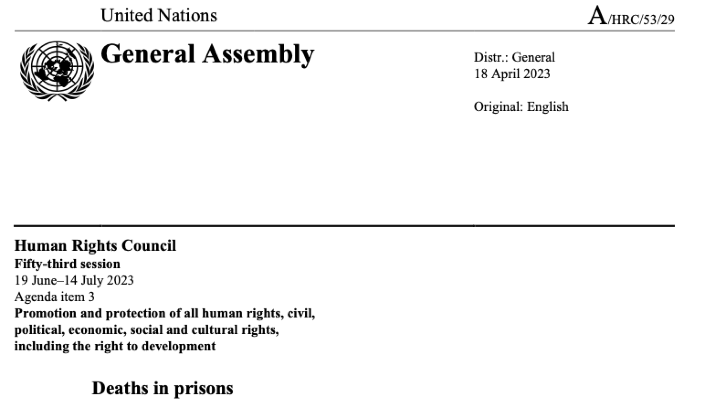 Cover of UN Special Rapporteur’s Report on Deaths in Prison