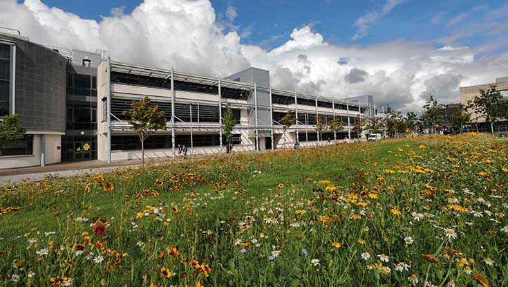 University of Galway