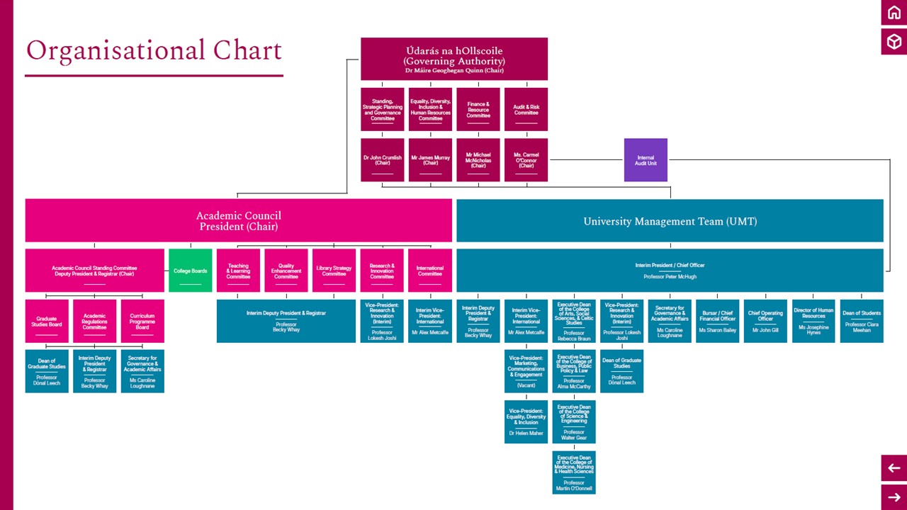 University of Galway Organisational Chart