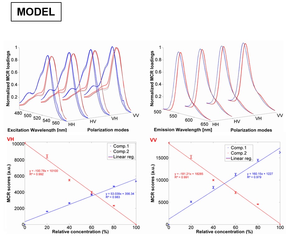 Small fluorophores