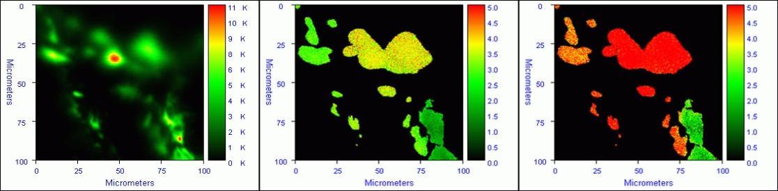 Intensity, Phase and Modulation image of AJQZ inclusion...405 nm excitation. 