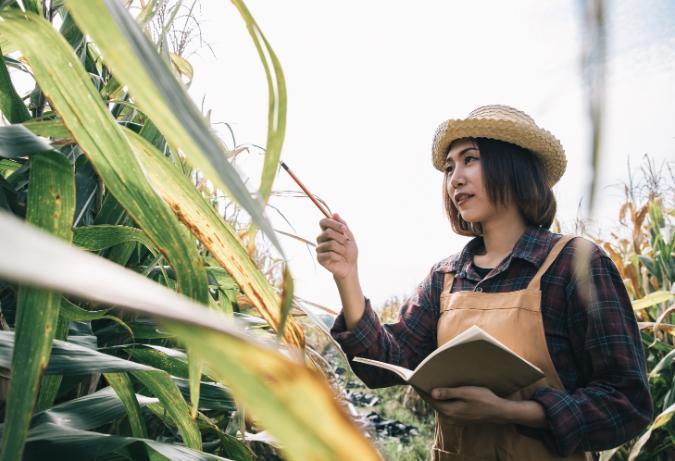 International_Dev- Careers