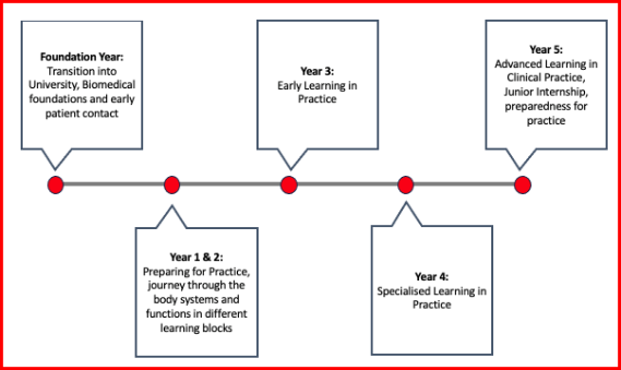 Medicine course structure
