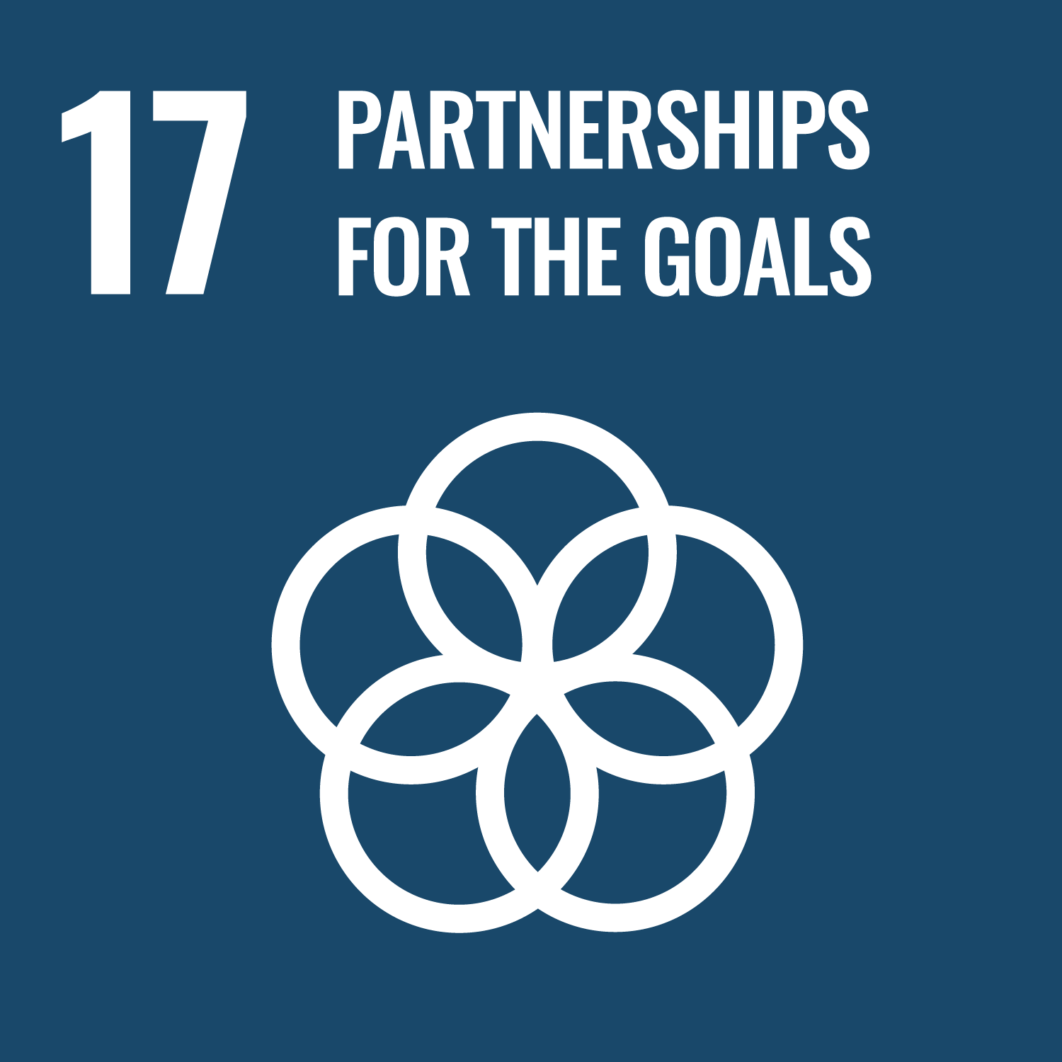 SDG17 Partnership For The Goals