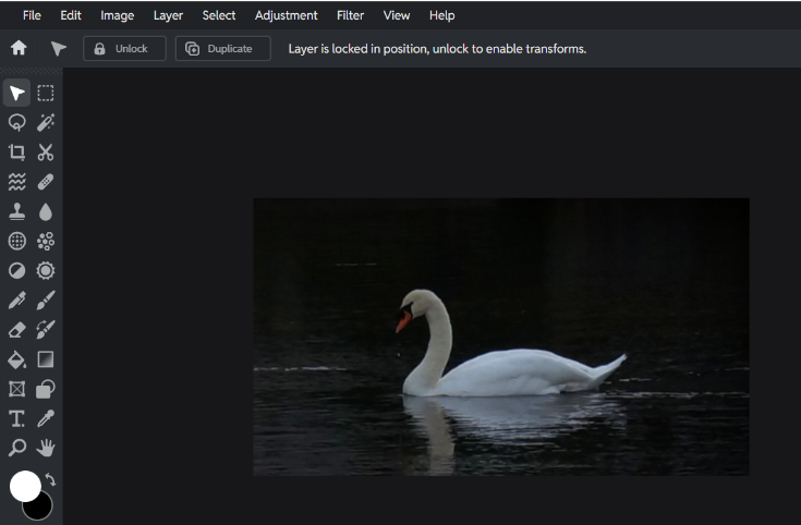 Pixlr Crop after the Apply button, image updated