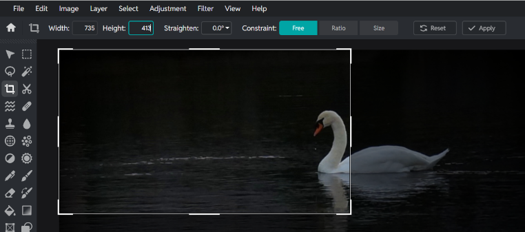 Pixlr resize box appearing after new dimensions added