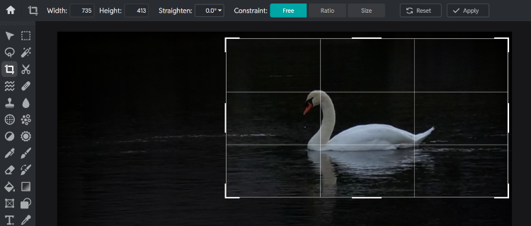 Pizlr Crop select area of image