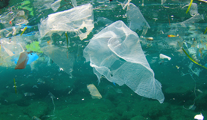 Plastic Pollution in Ocean