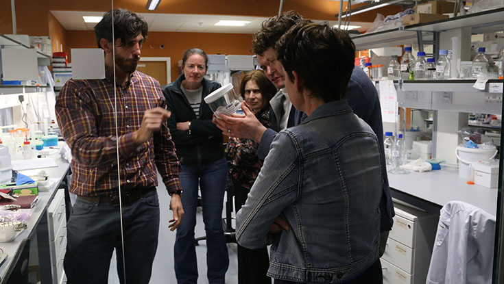 Boston Scientific and CURÁM