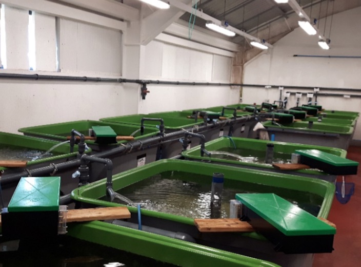 Facilities & Expertise
