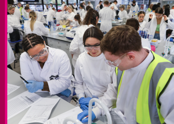 Undergraduate Courses