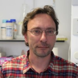 Prof Ronan Sulpice