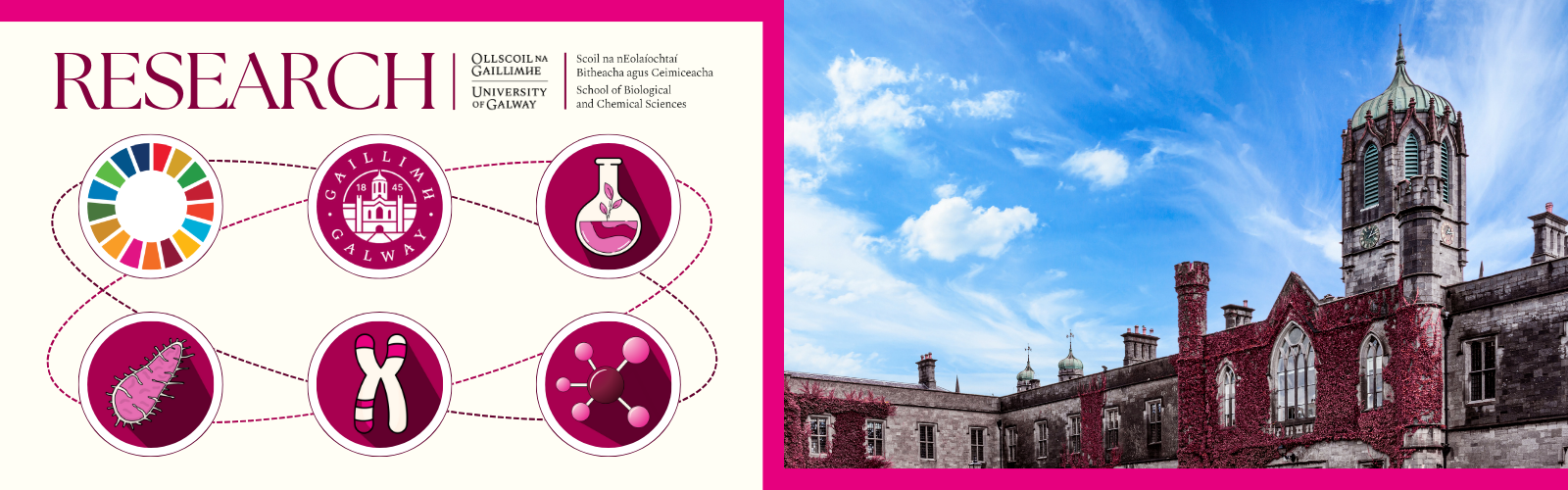 Learn more about our cutting-edge research