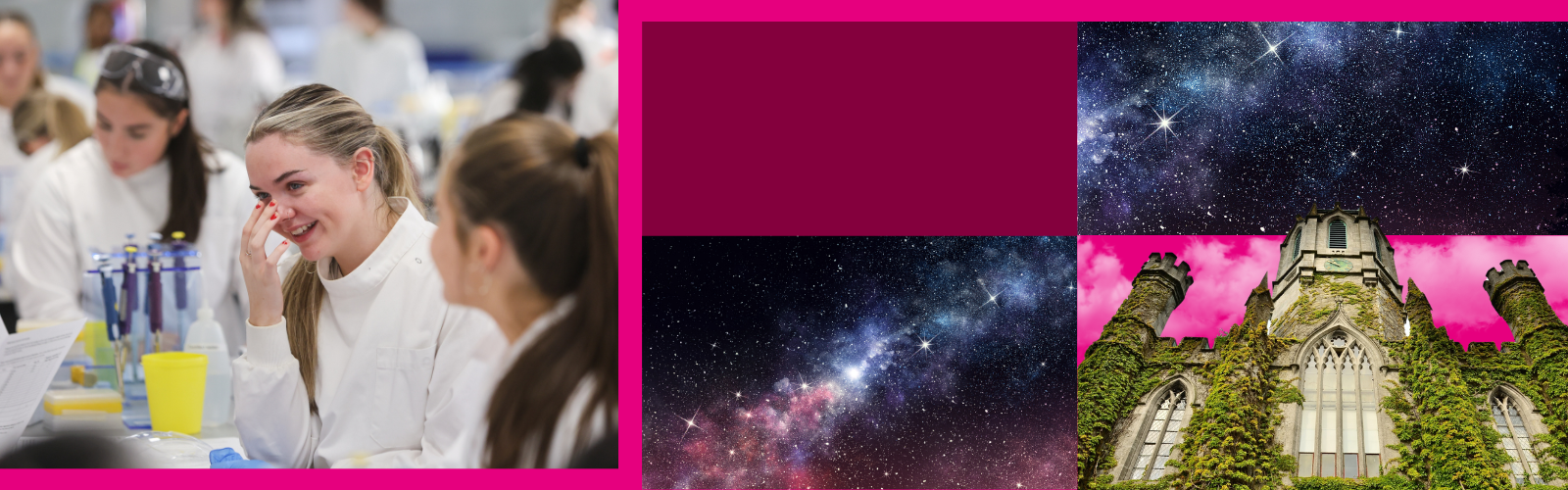 Undergraduate Courses